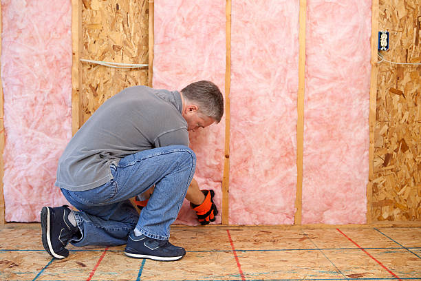 Best Residential Insulation in Del Rey, CA